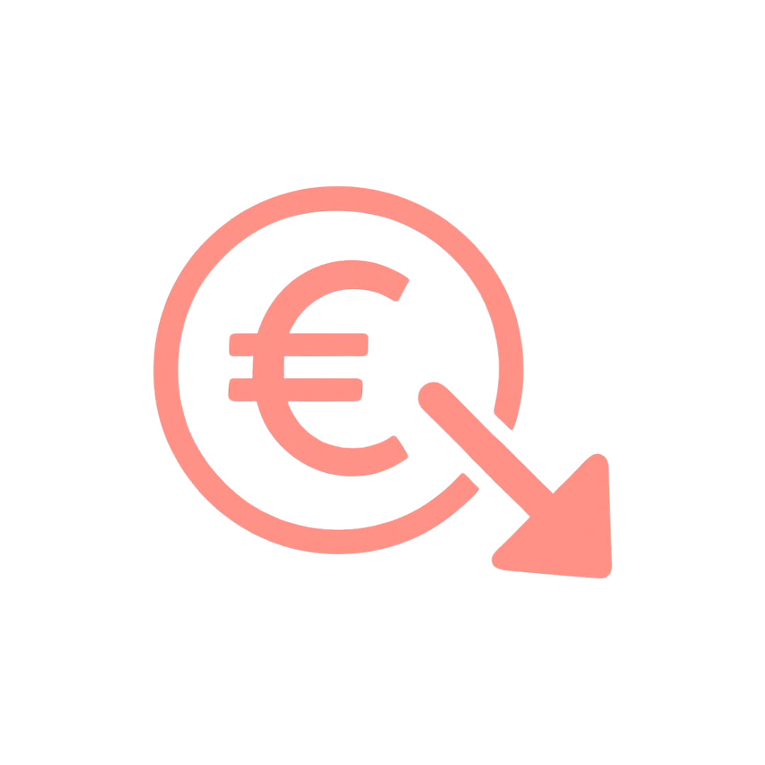 icono euro y flecha abajo - reducción de costes